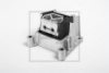 PE Automotive 030.243-00A Engine Mounting